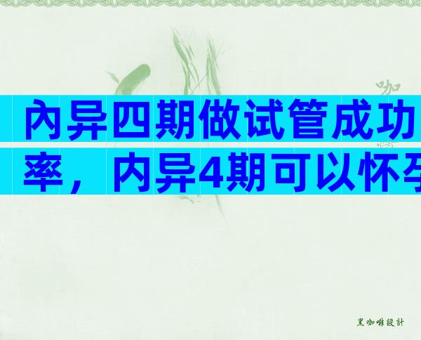 內异四期做试管成功率，内异4期可以怀孕吗？