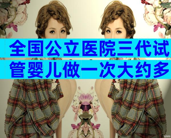 全国公立医院三代试管婴儿做一次大约多少钱