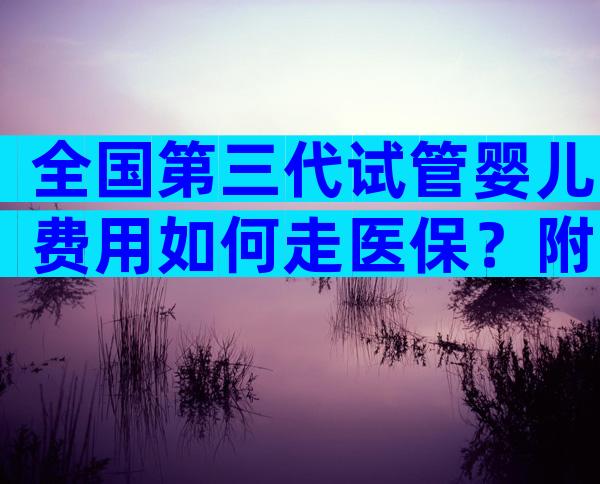 全国第三代试管婴儿费用如何走医保？附三代试管婴儿流程？