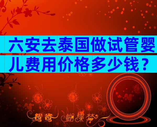 六安去泰国做试管婴儿费用价格多少钱？