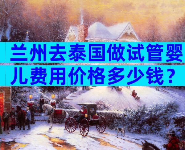 兰州去泰国做试管婴儿费用价格多少钱？