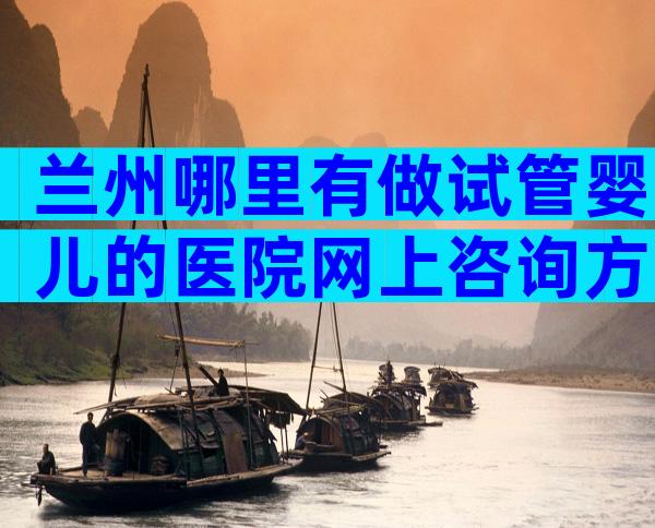 兰州哪里有做试管婴儿的医院网上咨询方式