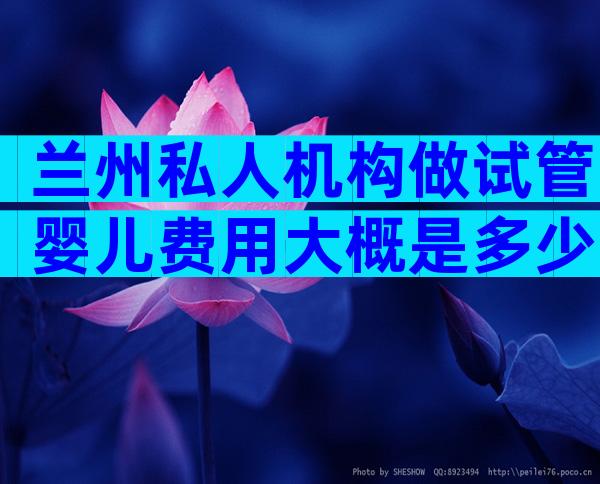 兰州私人机构做试管婴儿费用大概是多少