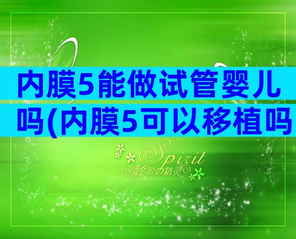 内膜5能做试管婴儿吗(内膜5可以移植吗)