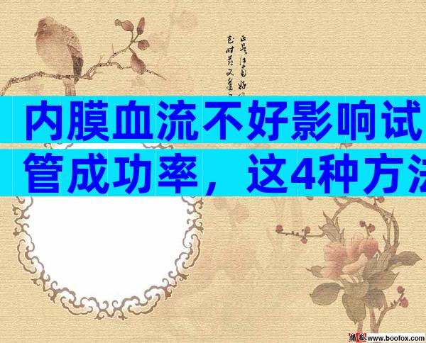 内膜血流不好影响试管成功率，这4种方法可以改善