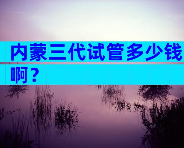 内蒙三代试管多少钱啊？