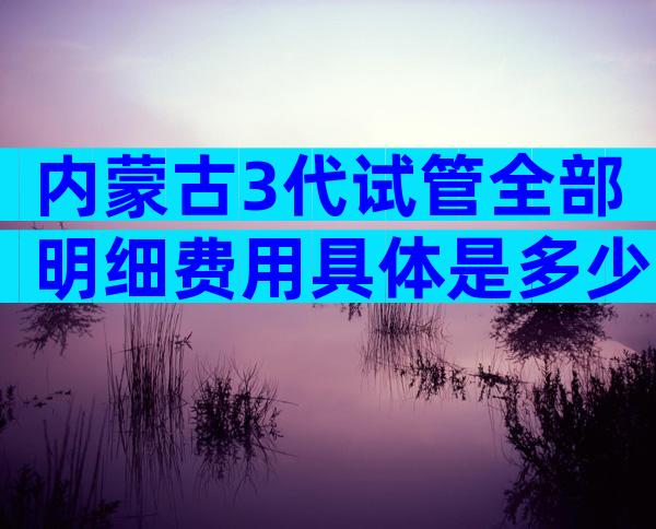 内蒙古3代试管全部明细费用具体是多少