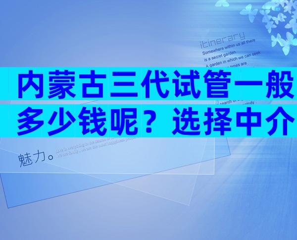内蒙古三代试管一般多少钱呢？选择中介需谨慎