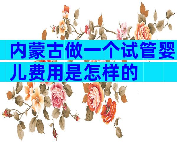 内蒙古做一个试管婴儿费用是怎样的