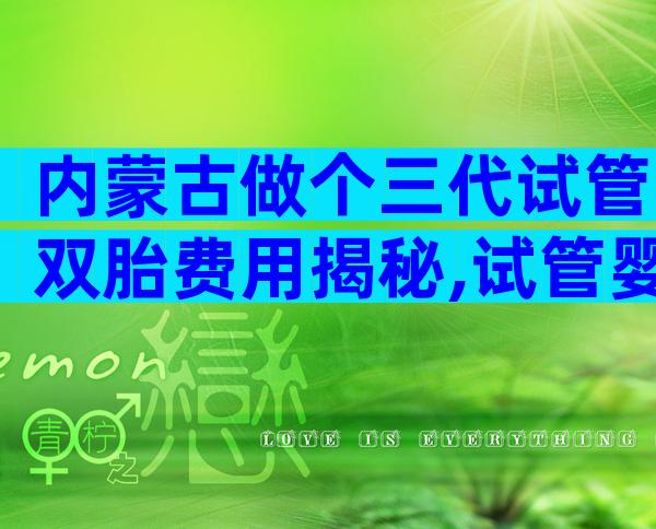 内蒙古做个三代试管双胎费用揭秘,试管婴儿需要花多少钱