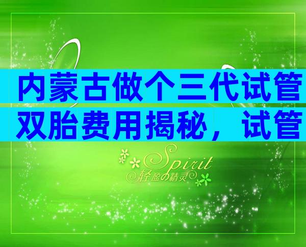 内蒙古做个三代试管双胎费用揭秘，试管婴儿需要花多少钱