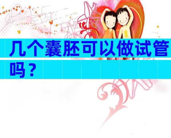 几个囊胚可以做试管吗？