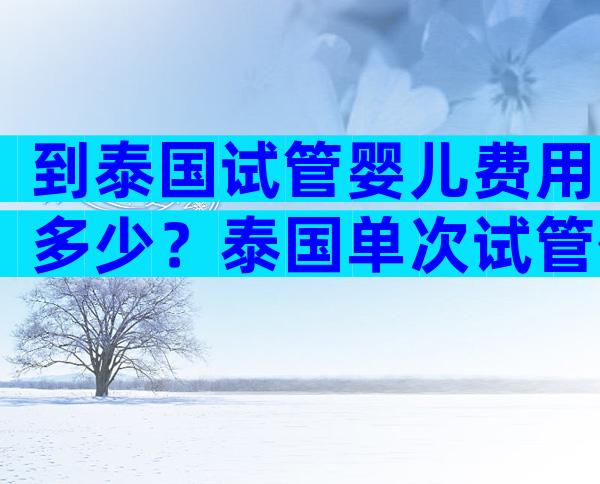 到泰国试管婴儿费用多少？泰国单次试管价格表参考