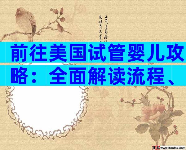 前往美国试管婴儿攻略：全面解读流程、费用与注意事项