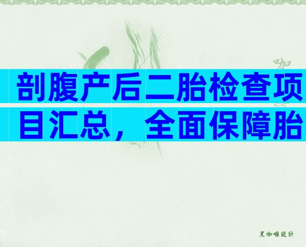 剖腹产后二胎检查项目汇总，全面保障胎儿的健康发育