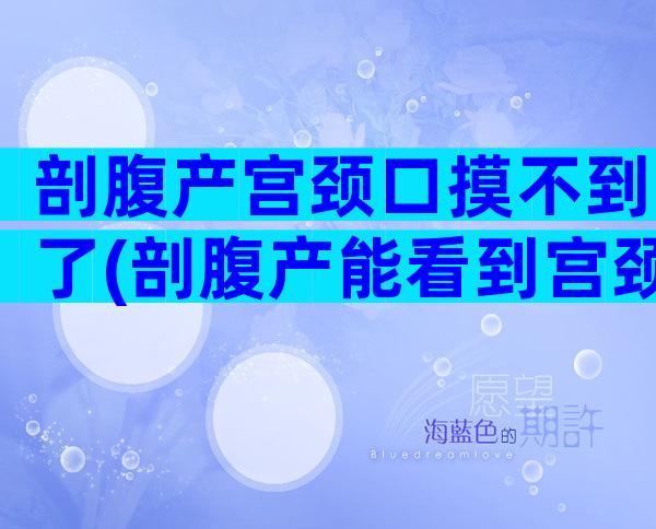 剖腹产宫颈口摸不到了(剖腹产能看到宫颈吗)