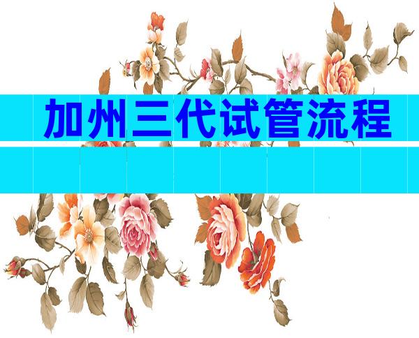 加州三代试管流程