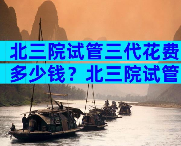 北三院试管三代花费多少钱？北三院试管三代花费多少钱啊？