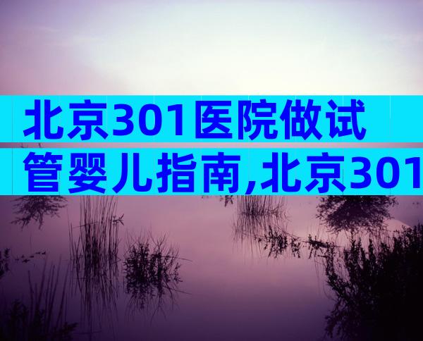 北京301医院做试管婴儿指南,北京301医院生殖中心做试管的就诊流程