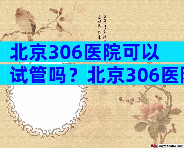 北京306医院可以试管吗？北京306医院可以做试管吗？