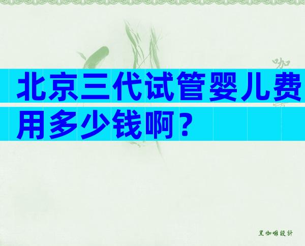北京三代试管婴儿费用多少钱啊？