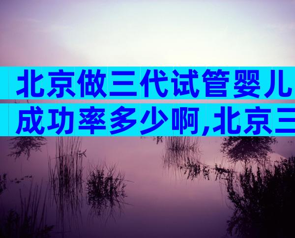 北京做三代试管婴儿成功率多少啊,北京三代试管婴儿较好的医院
