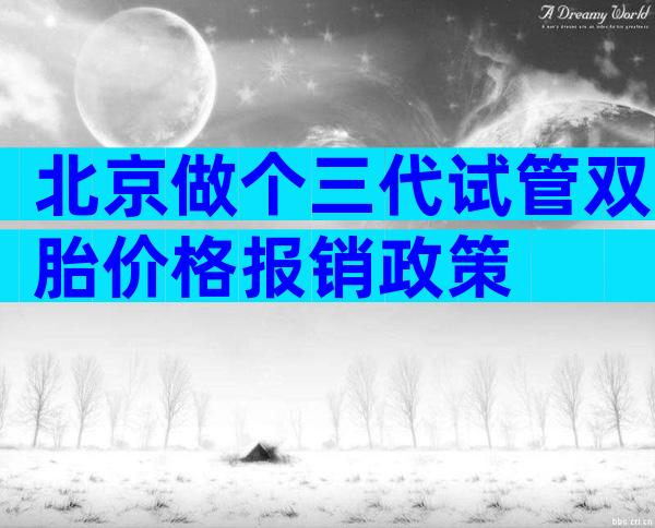 北京做个三代试管双胎价格报销政策