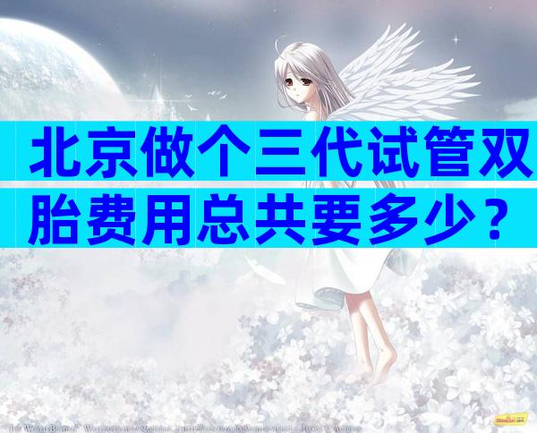 北京做个三代试管双胎费用总共要多少？