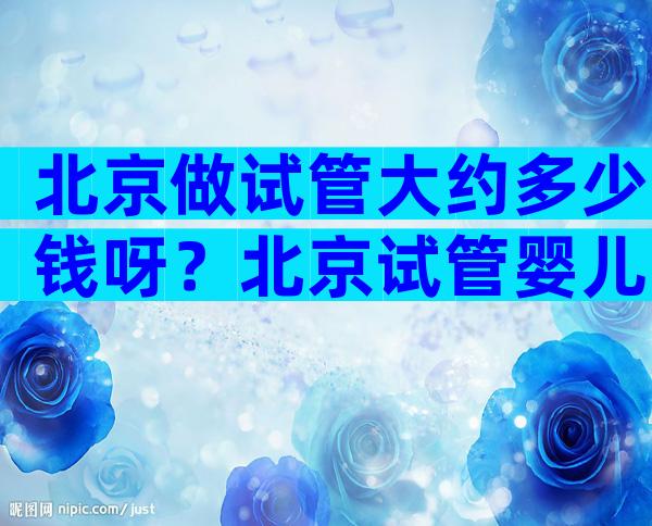 北京做试管大约多少钱呀？北京试管婴儿多少钱一次？