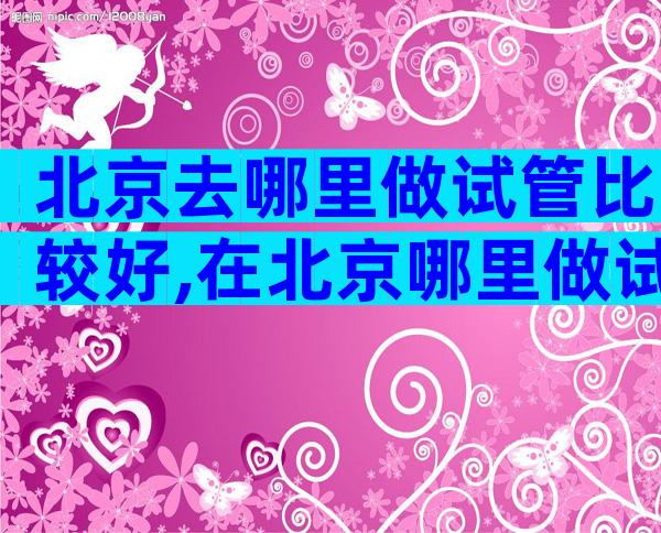 北京去哪里做试管比较好,在北京哪里做试管婴儿比较好