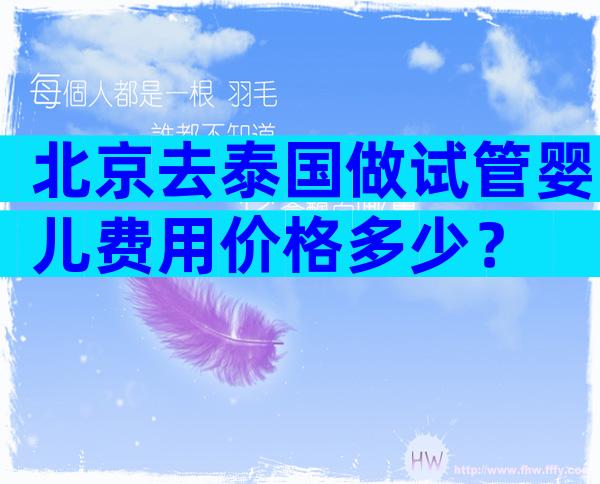北京去泰国做试管婴儿费用价格多少？