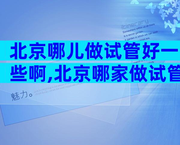 北京哪儿做试管好一些啊,北京哪家做试管婴儿成功率高