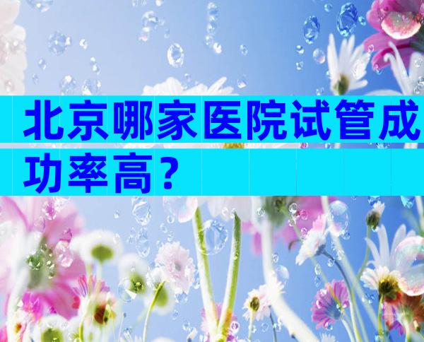 北京哪家医院试管成功率高？
