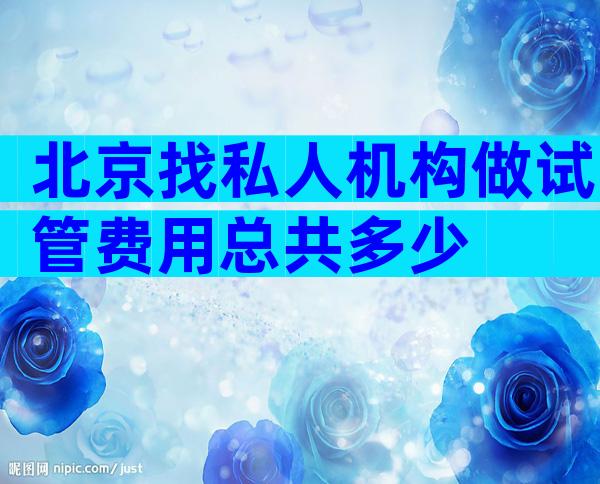 北京找私人机构做试管费用总共多少