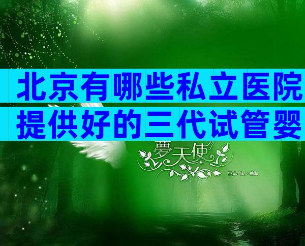北京有哪些私立医院提供好的三代试管婴儿？