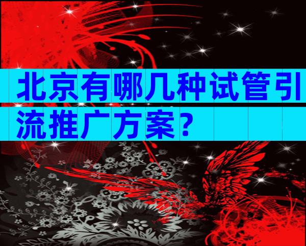 北京有哪几种试管引流推广方案？