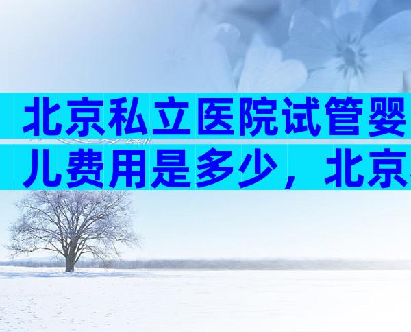 北京私立医院试管婴儿费用是多少，北京私立医院试管婴儿费用是多少钱