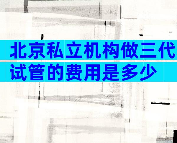 北京私立机构做三代试管的费用是多少