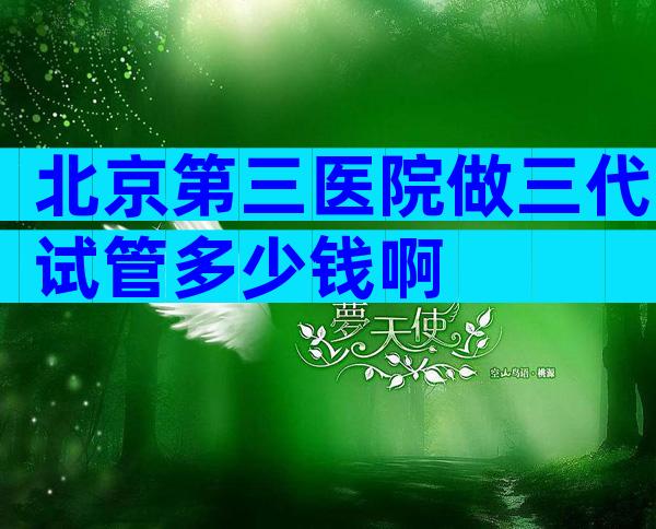 北京第三医院做三代试管多少钱啊