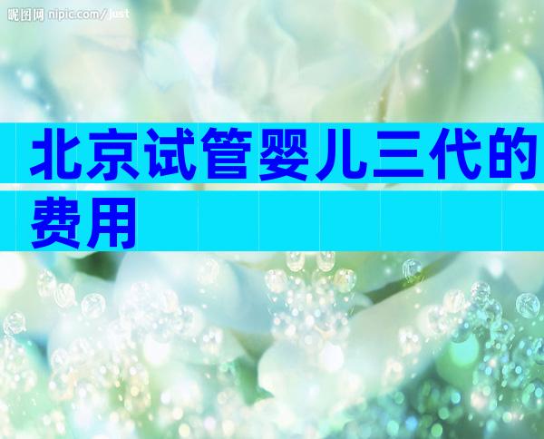 北京试管婴儿三代的费用