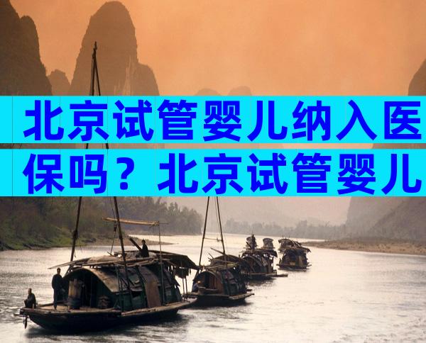 北京试管婴儿纳入医保吗？北京试管婴儿可以上医保吗？