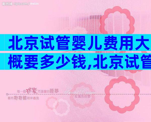 北京试管婴儿费用大概要多少钱,北京试管婴儿费用大约多少