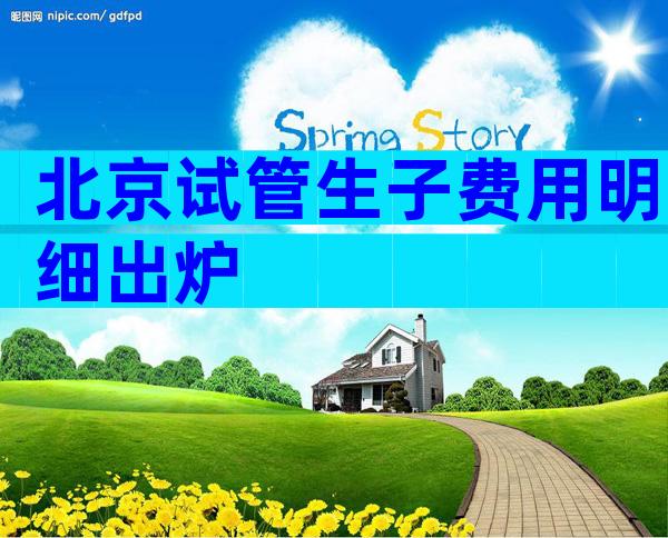 北京试管生子费用明细出炉