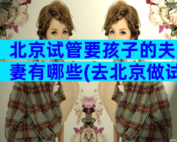 北京试管要孩子的夫妻有哪些(去北京做试管婴儿)