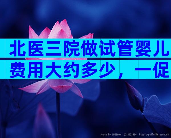 北医三院做试管婴儿费用大约多少，一促一移只需3万元。