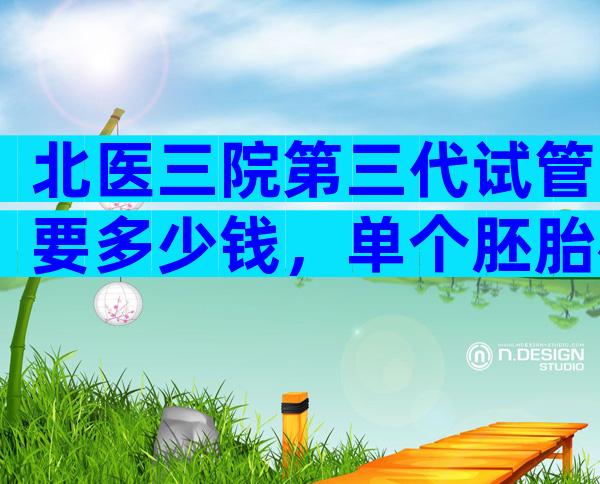 北医三院第三代试管要多少钱，单个胚胎检查收费真不贵。