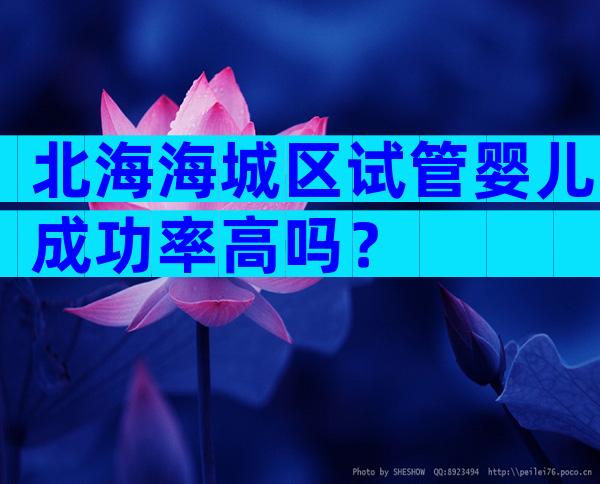 北海海城区试管婴儿成功率高吗？