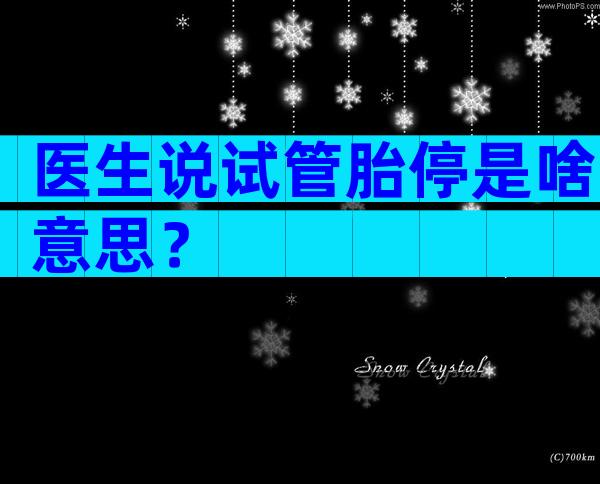 医生说试管胎停是啥意思？