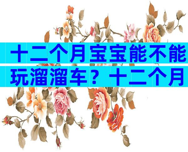 十二个月宝宝能不能玩溜溜车？十二个月宝宝玩什么玩具？