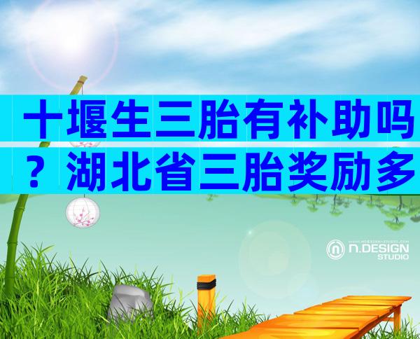 十堰生三胎有补助吗？湖北省三胎奖励多少钱？